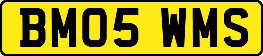 BM05WMS
