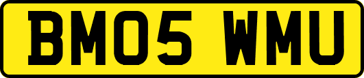 BM05WMU