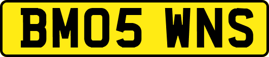 BM05WNS