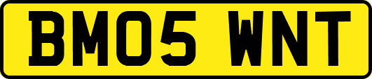 BM05WNT