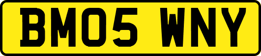 BM05WNY