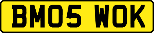 BM05WOK