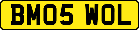 BM05WOL