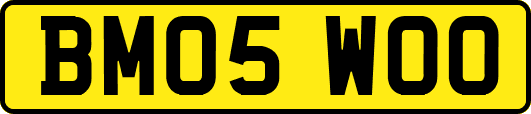 BM05WOO
