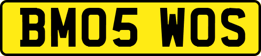 BM05WOS