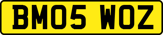 BM05WOZ