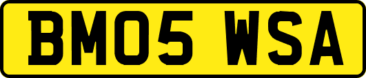 BM05WSA