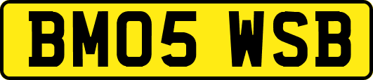 BM05WSB