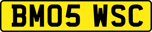 BM05WSC