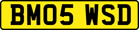 BM05WSD