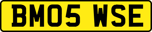 BM05WSE