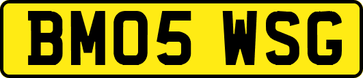 BM05WSG