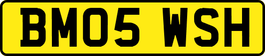 BM05WSH