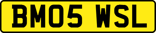BM05WSL