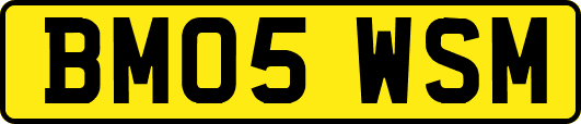 BM05WSM