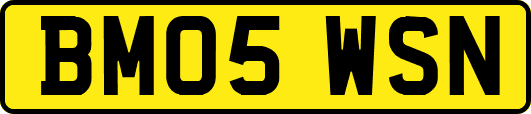 BM05WSN