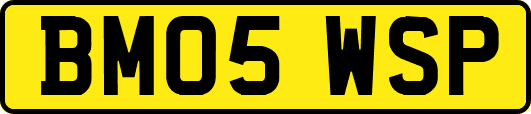 BM05WSP