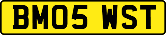 BM05WST
