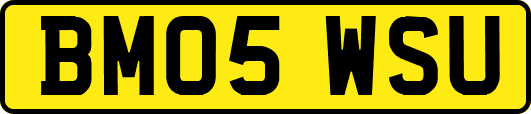 BM05WSU