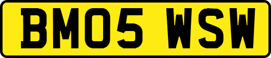 BM05WSW
