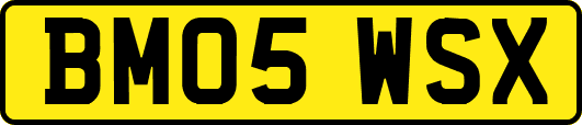 BM05WSX