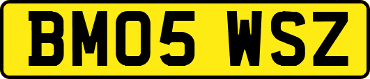 BM05WSZ