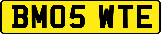 BM05WTE