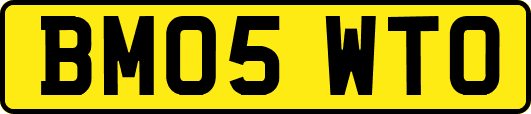 BM05WTO