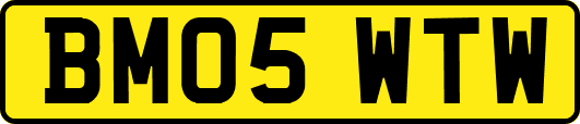 BM05WTW