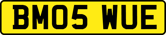 BM05WUE