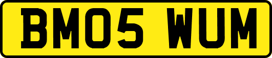 BM05WUM