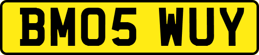 BM05WUY