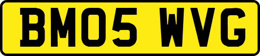 BM05WVG