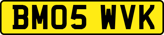 BM05WVK