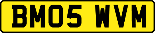 BM05WVM