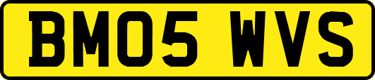 BM05WVS