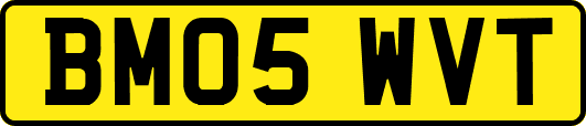 BM05WVT