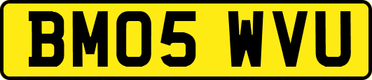 BM05WVU