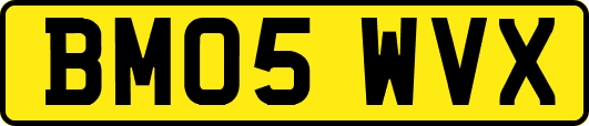 BM05WVX