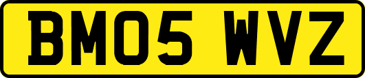 BM05WVZ