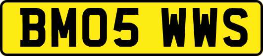 BM05WWS