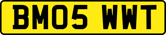BM05WWT