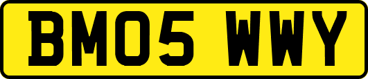BM05WWY
