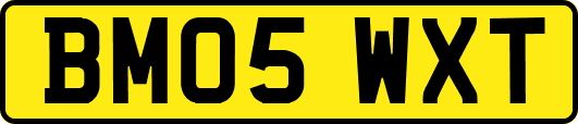 BM05WXT