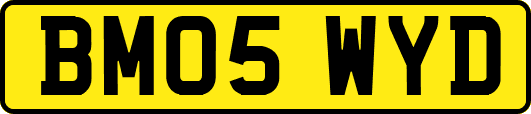 BM05WYD