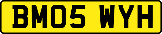 BM05WYH