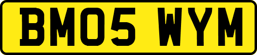 BM05WYM
