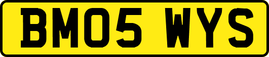 BM05WYS