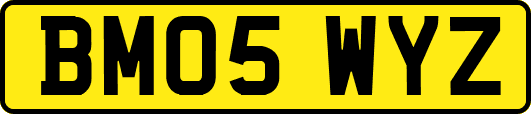 BM05WYZ