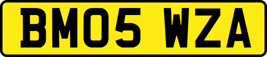 BM05WZA